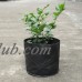 2 Gallon 10pcs Fabric Round Planter Planting Grow Bag Plant Pouch Root Pots Container, Black   